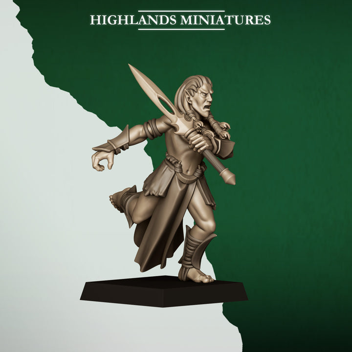 Feral Elf Bladesingers