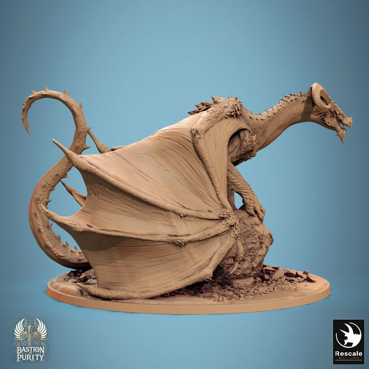 Dragon on a rock
