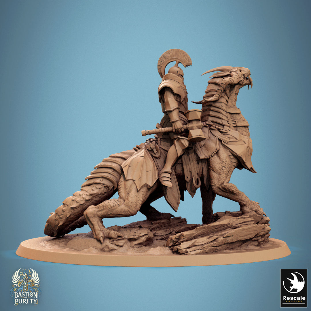 Dragoryx Riders