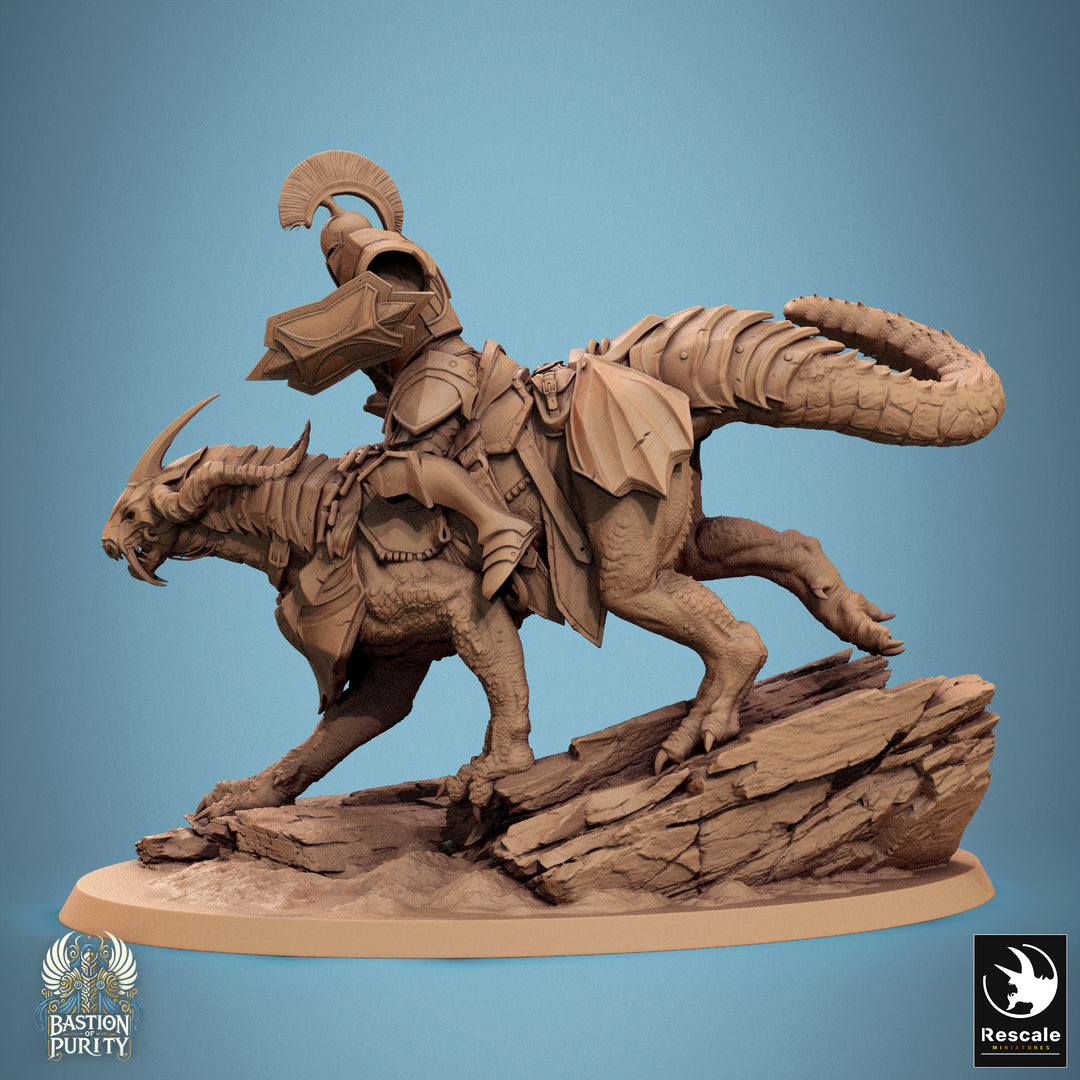 Dragoryx Riders