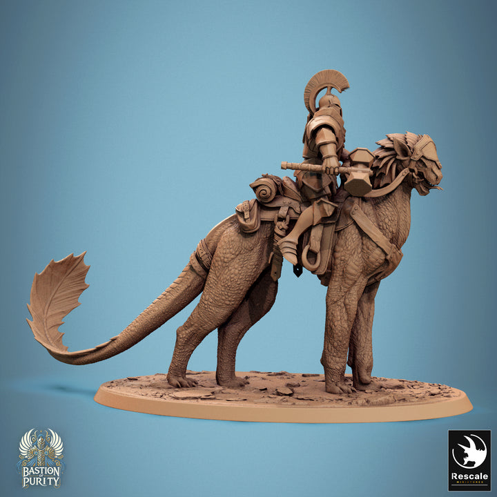 Solaris Panthera Riders