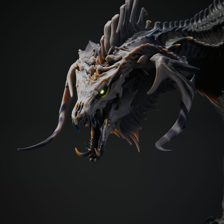 Black Dragon Hunting