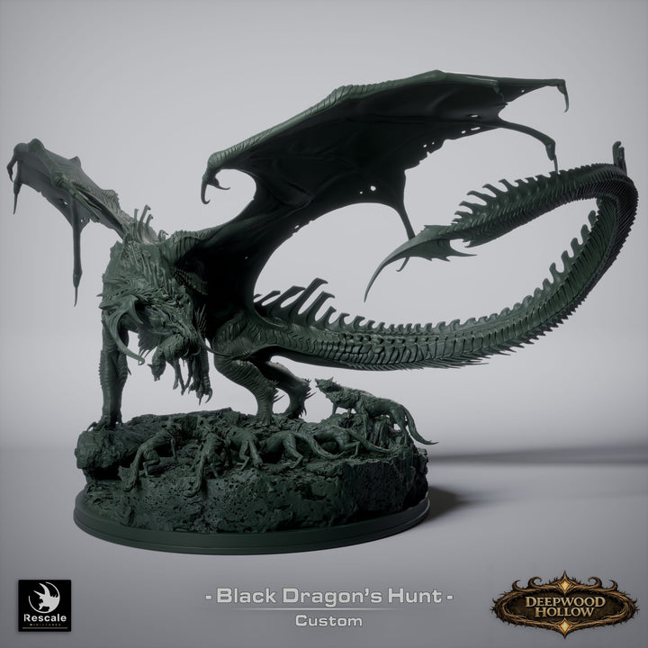 Black Dragon Hunting