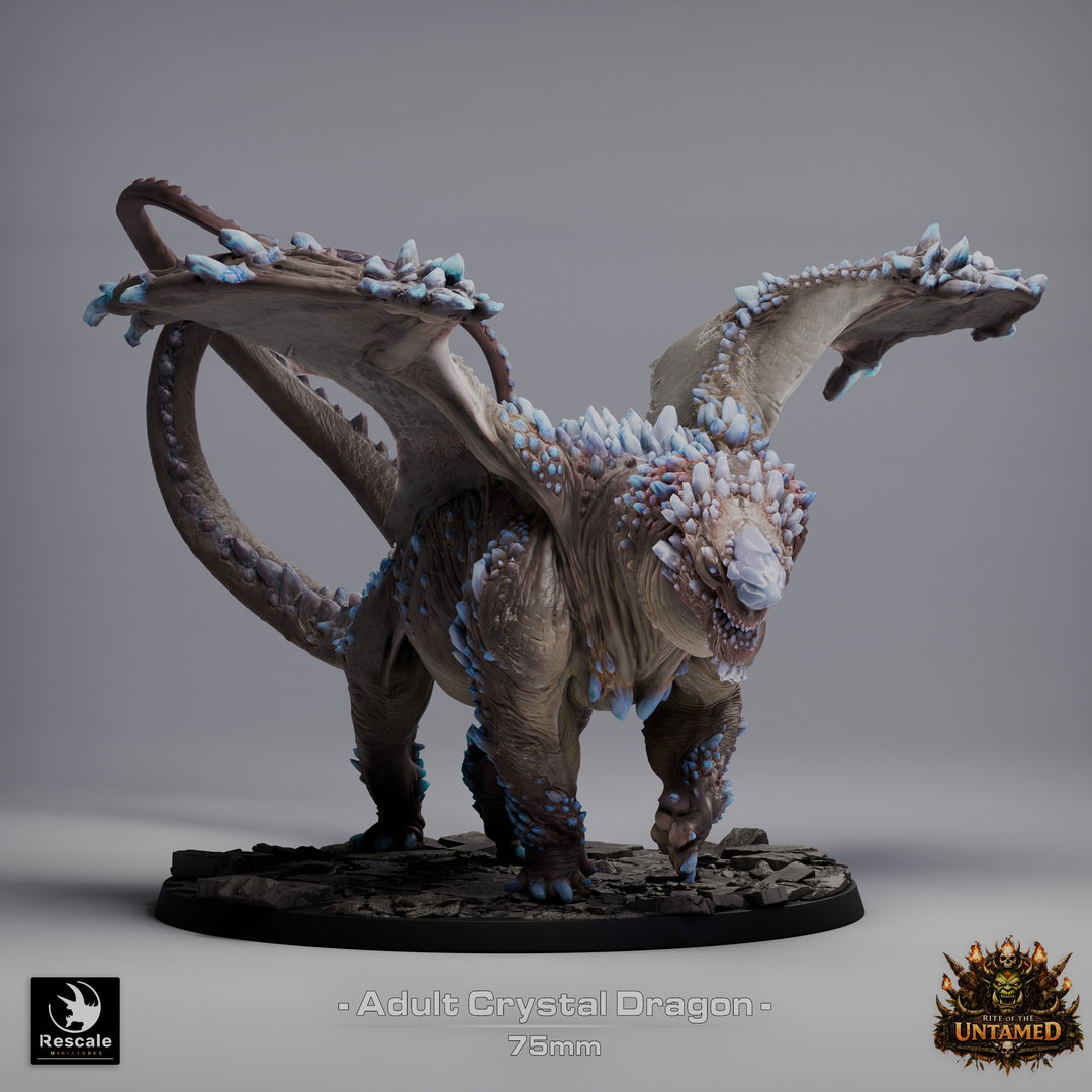 Crystal Dragon