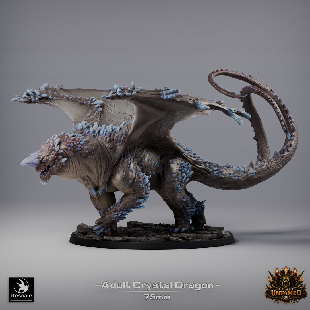 Crystal Dragon