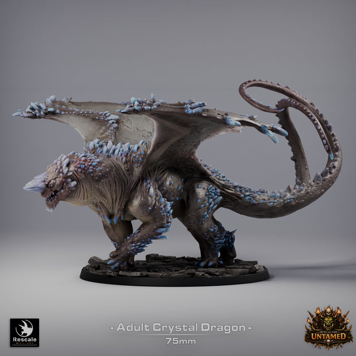 Crystal Dragon
