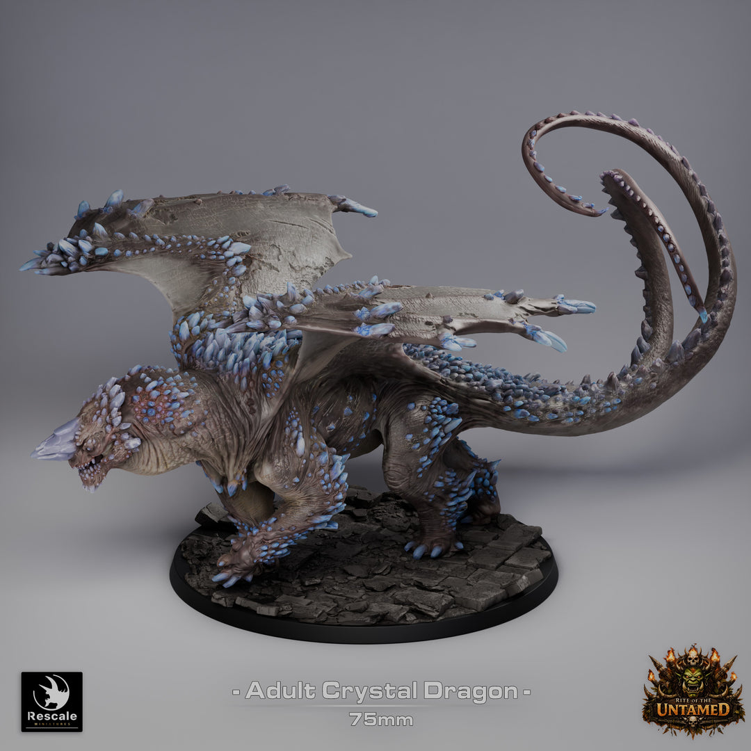 Crystal Dragon