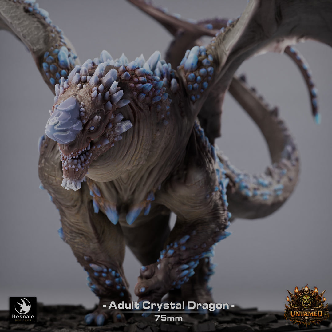 Crystal Dragon