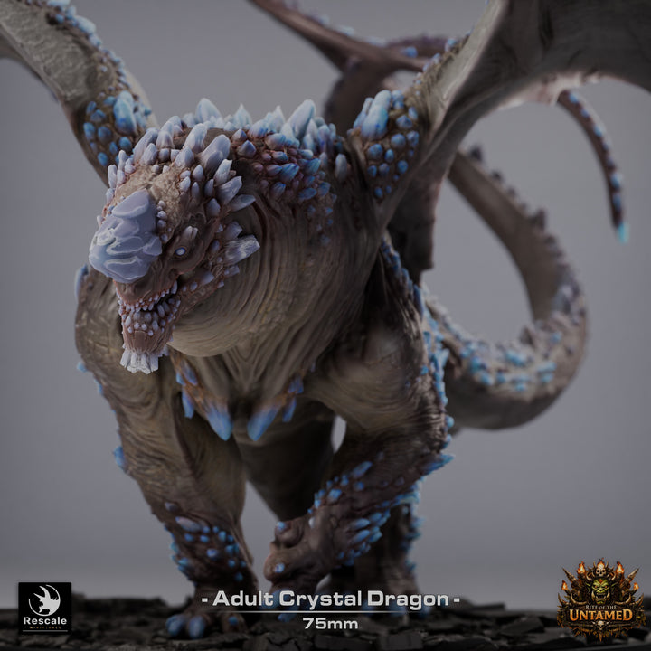 Crystal Dragon