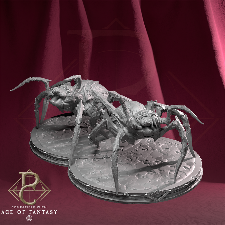 Riteris Spiderbrood