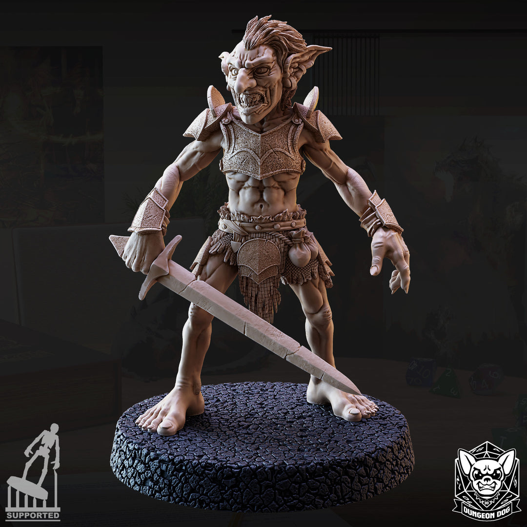 Goblin Raiders Pack