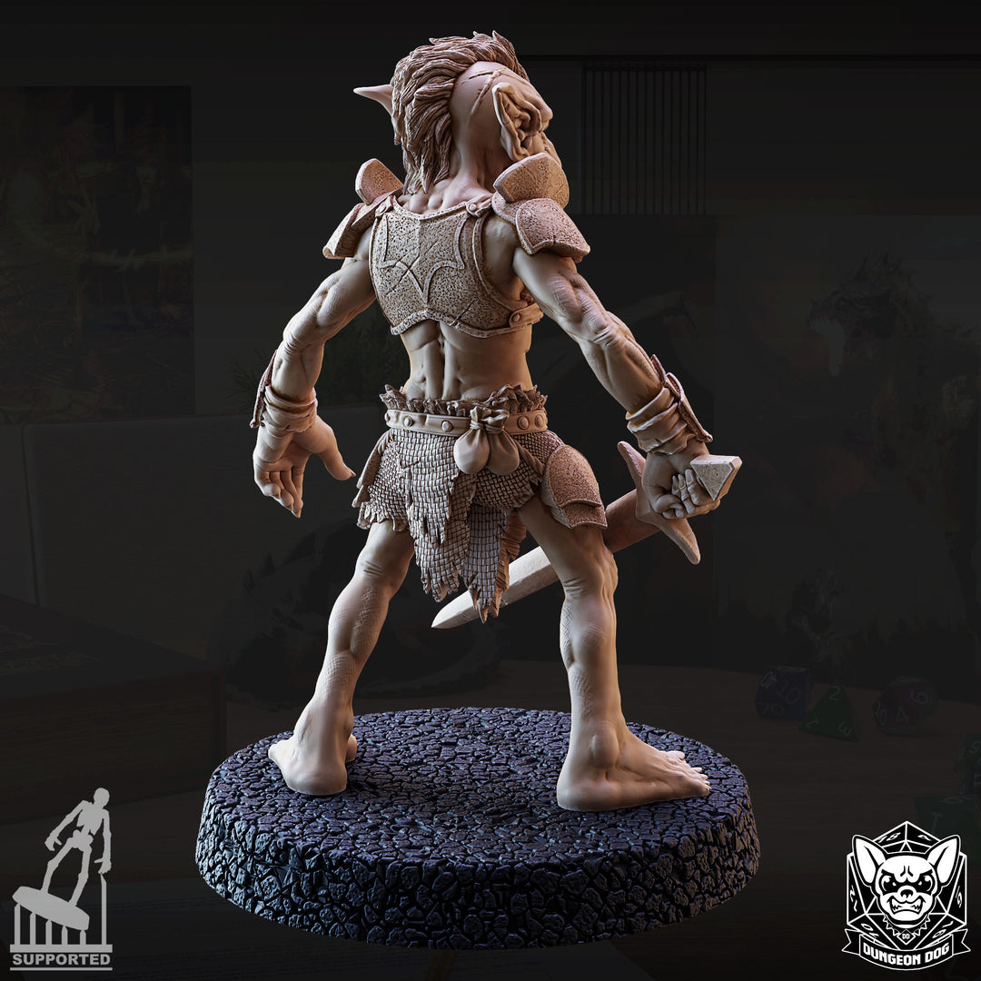 Goblin Raiders Pack
