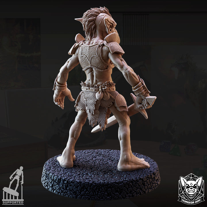 Goblin Raiders Pack