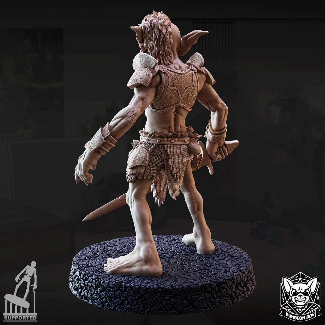 Goblin Raiders Pack