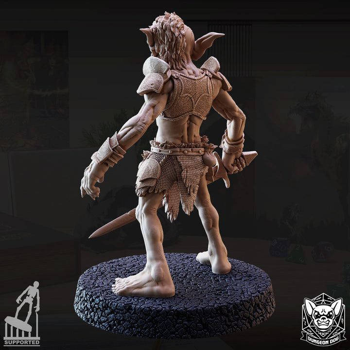 Goblin Raiders Pack