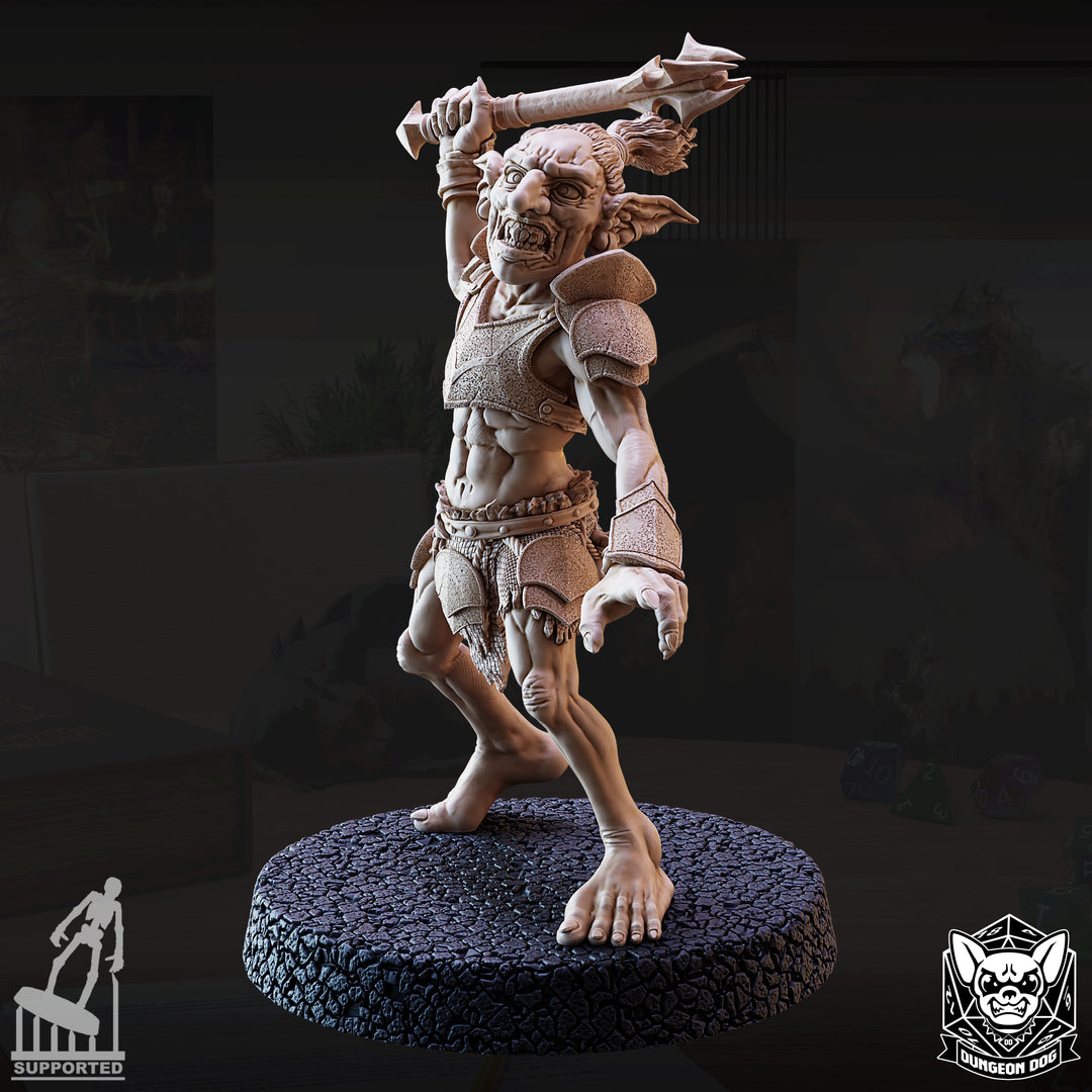 Goblin Raiders Pack