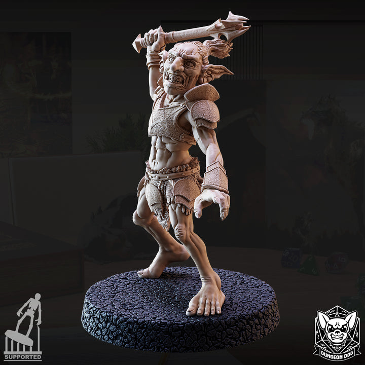 Goblin Raiders Pack