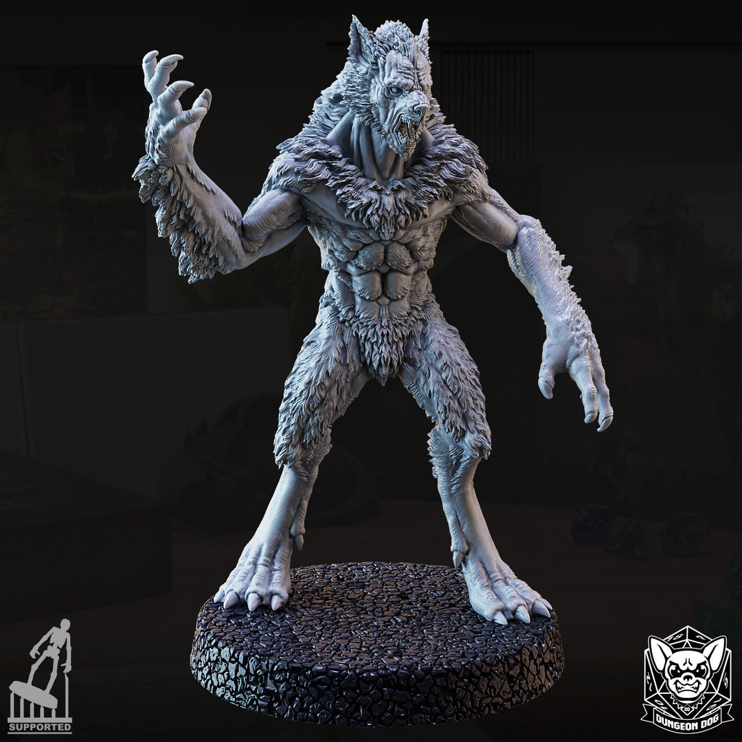 Werewolves Pack unpainted resin fantasy miniature by Dungeon Dog, 28-32mm DnD tabletop model.