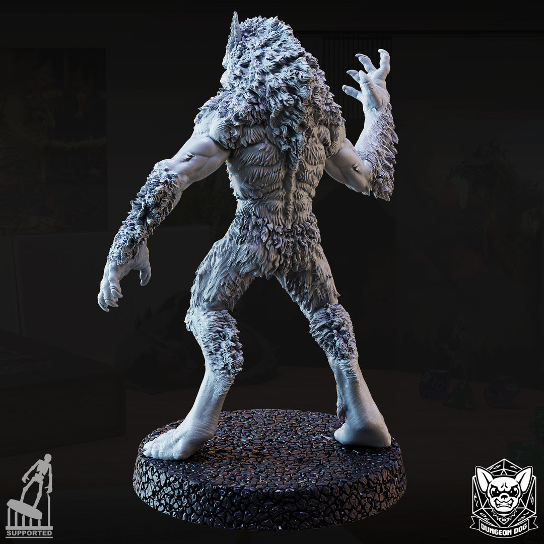 Werewolves Pack