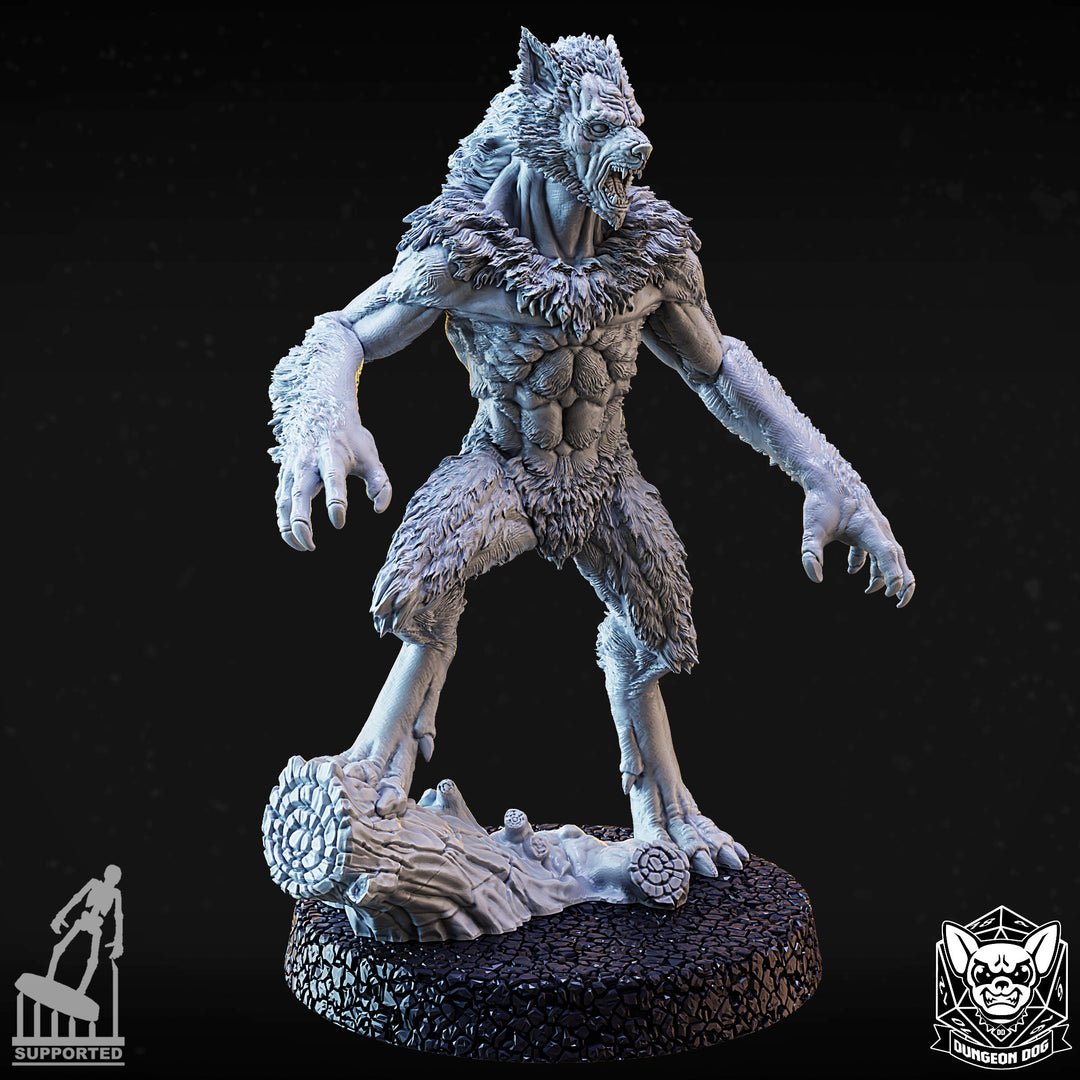 Werewolves Pack