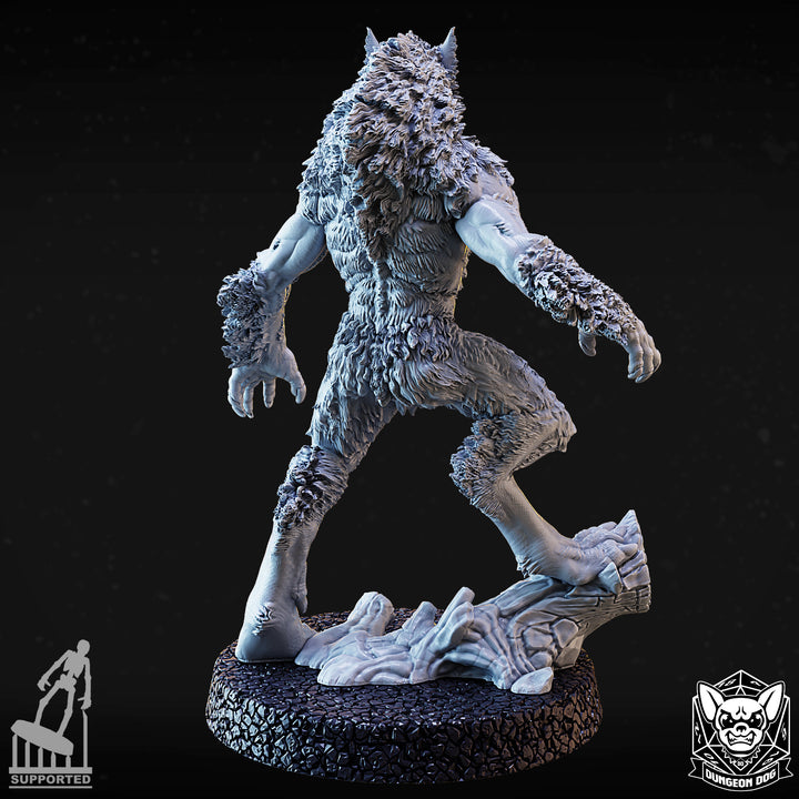 Werewolves Pack