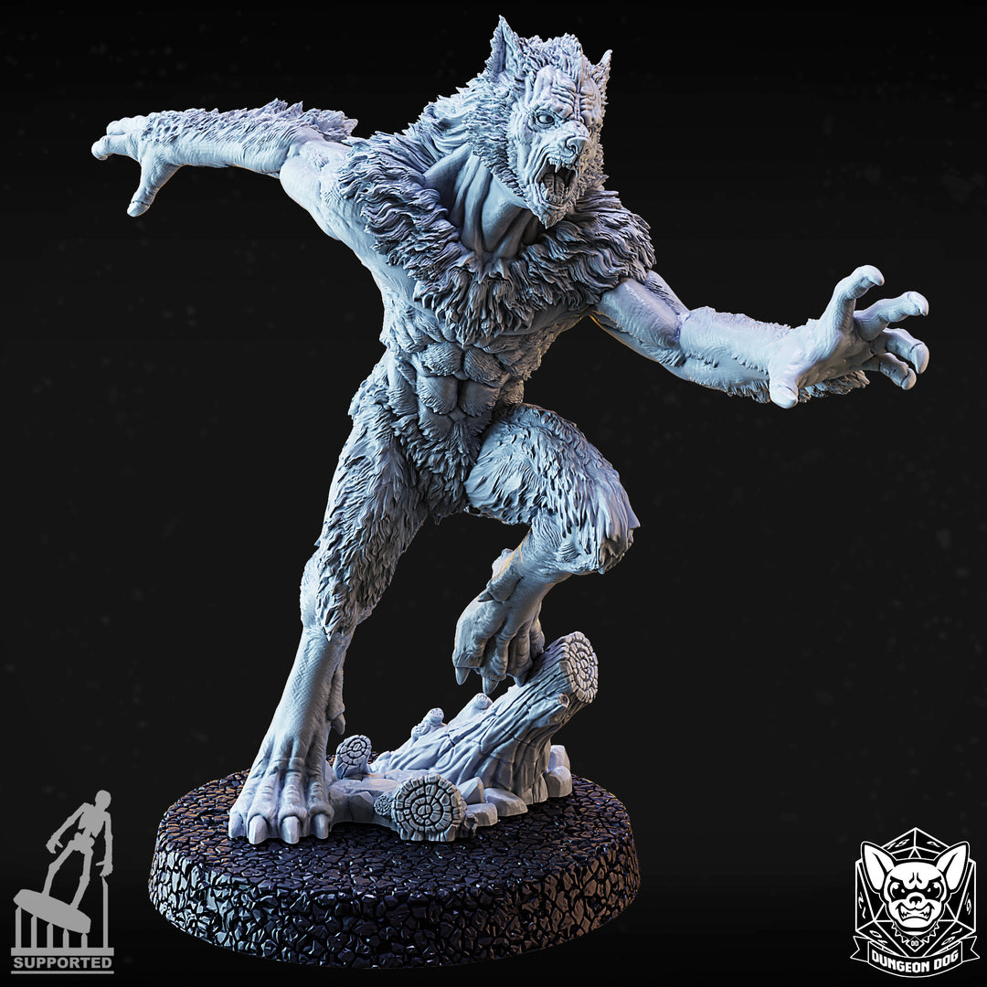 Werewolves Pack
