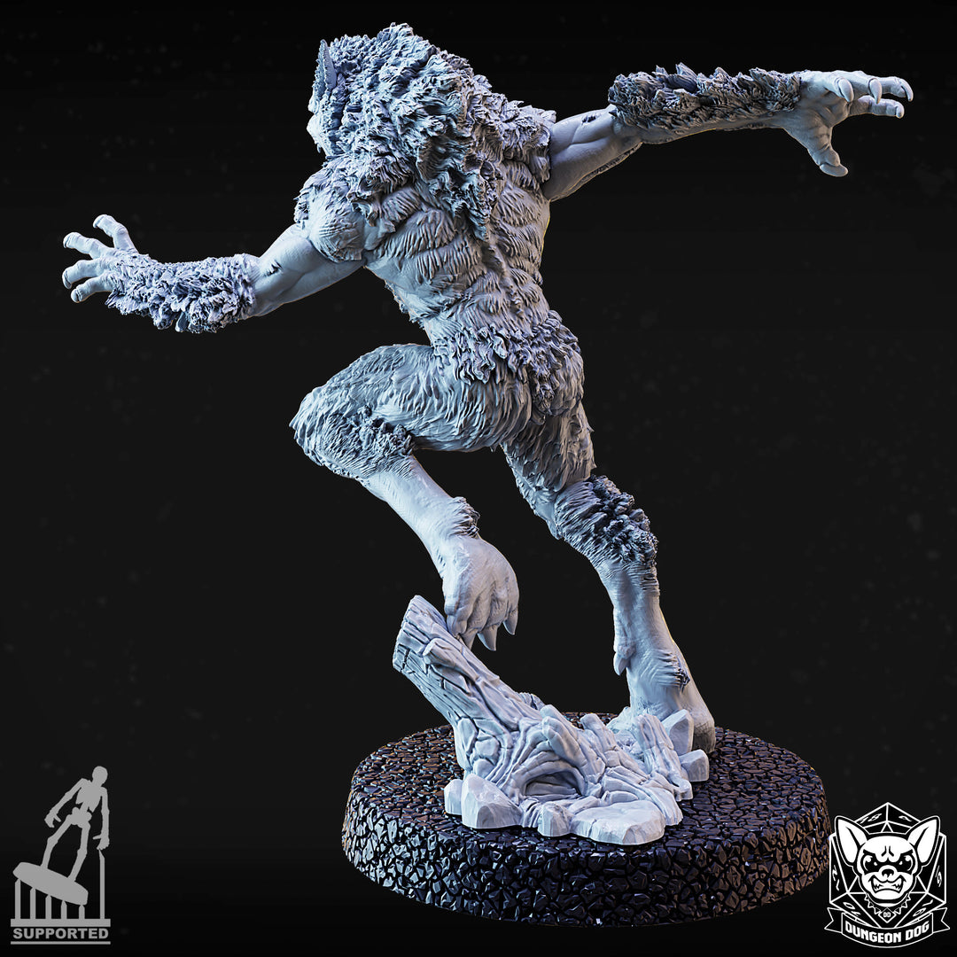 Werewolves Pack