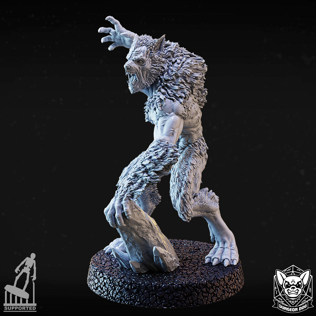 Werewolves Pack