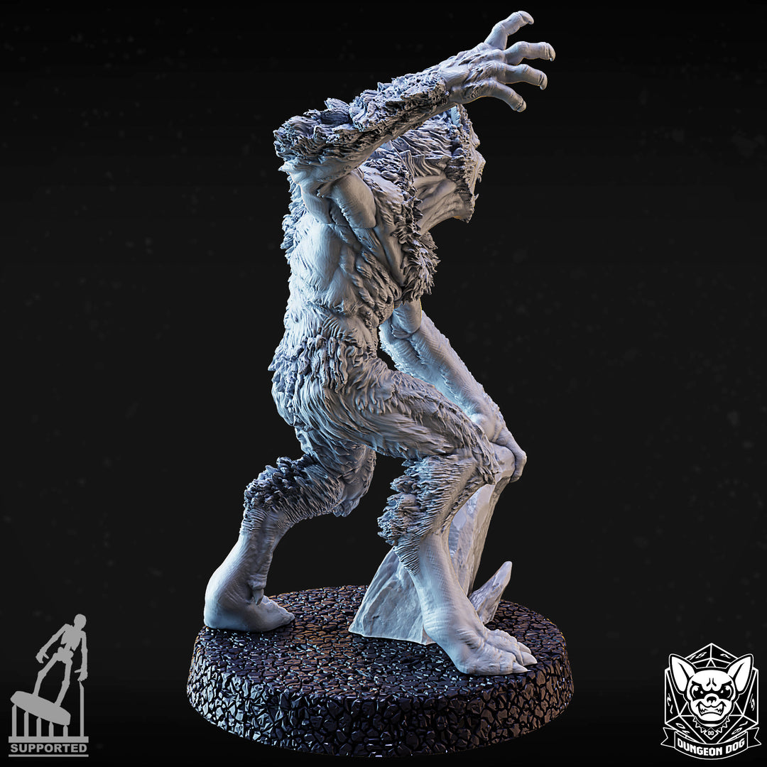 Werewolves Pack