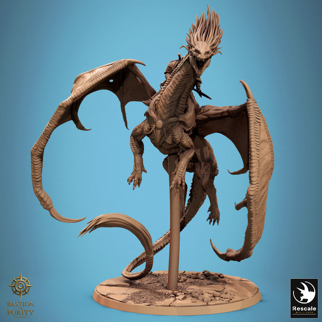 Dragon Watchers of the Silent Sentinels