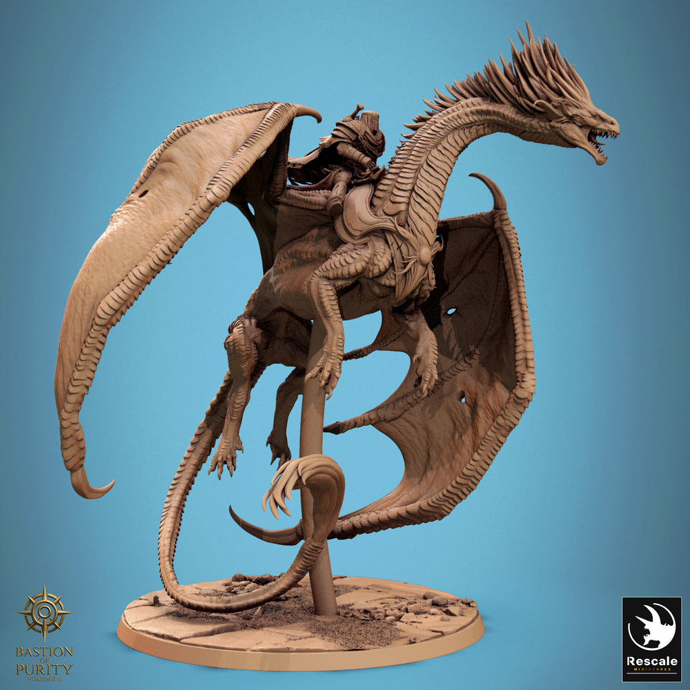 Dragon Watchers of the Silent Sentinels