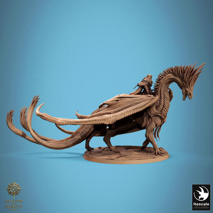 Dragon Watchers of the Silent Sentinels