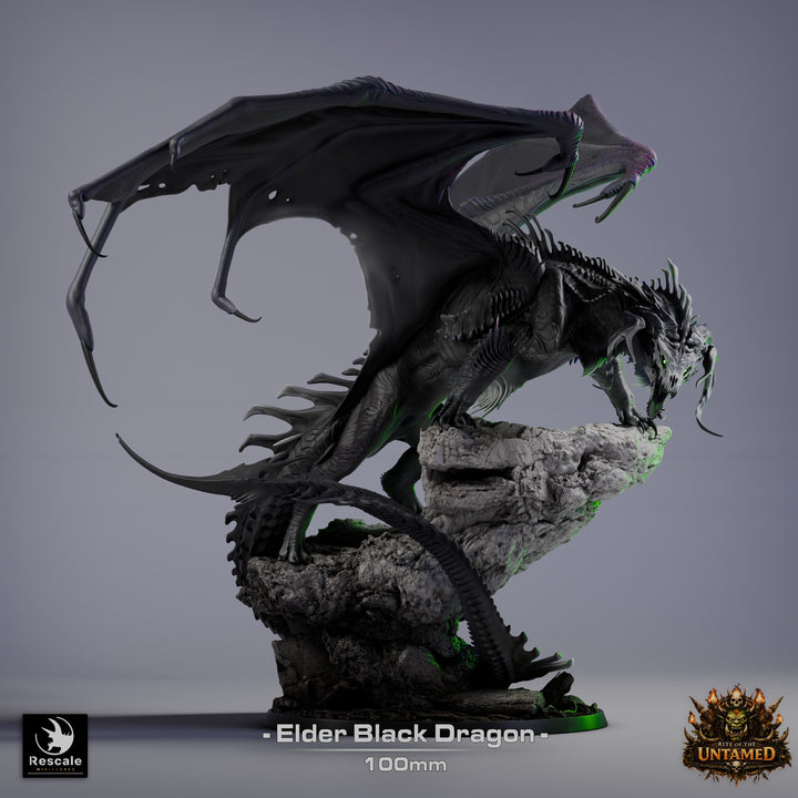 Black Dragon - Elder