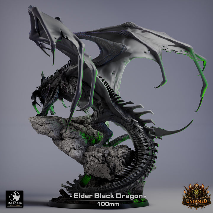 Black Dragon - Elder