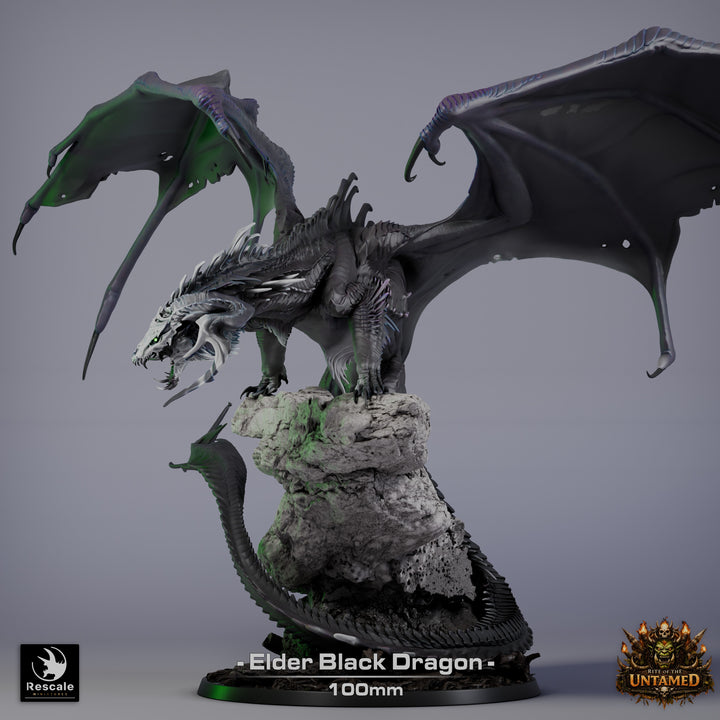 Black Dragon - Elder