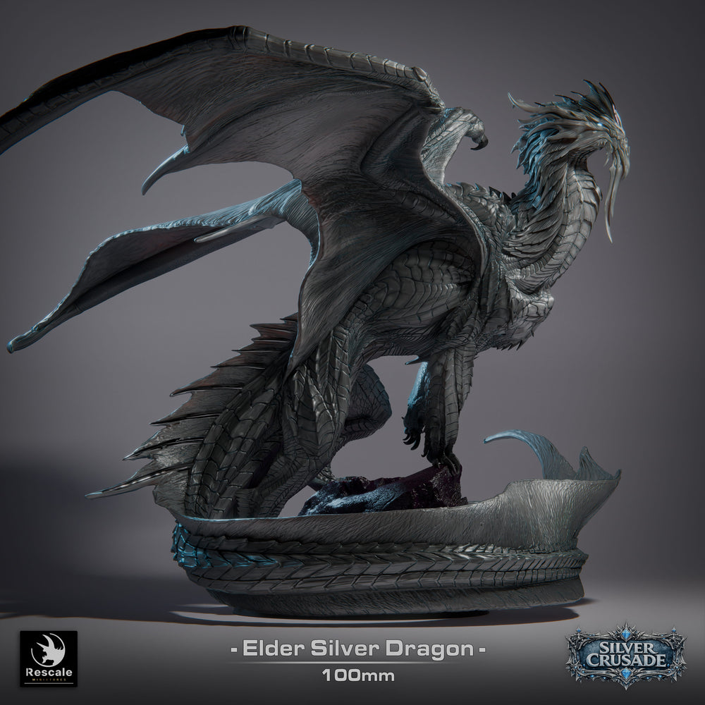 Silver Dragon - Elder