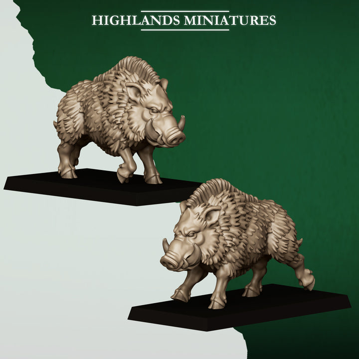 Feral Animals and Beastamers