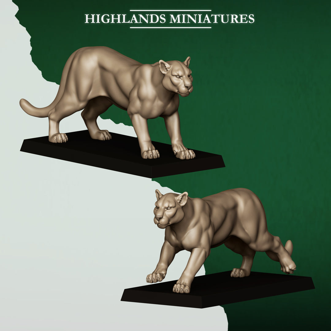 Feral Animals and Beastamers