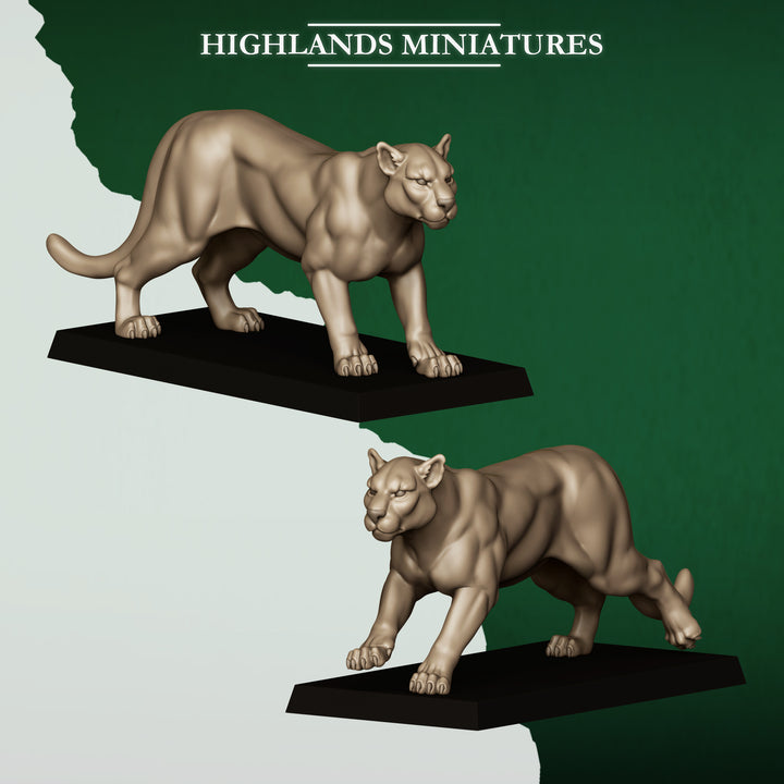 Feral Animals and Beastamers