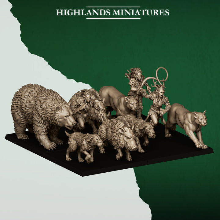Feral Animals and Beastamers