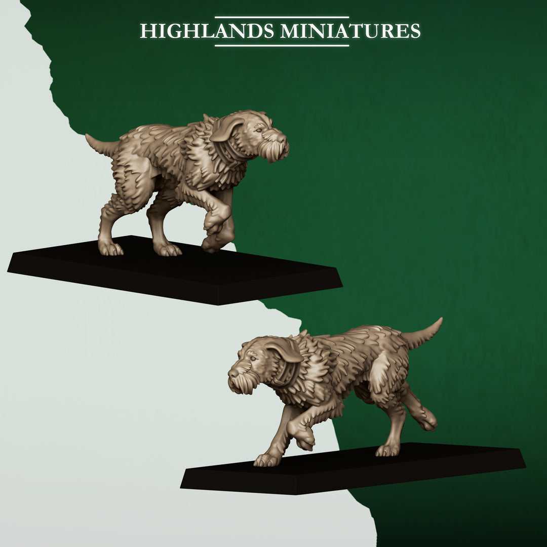 Feral Animals and Beastamers
