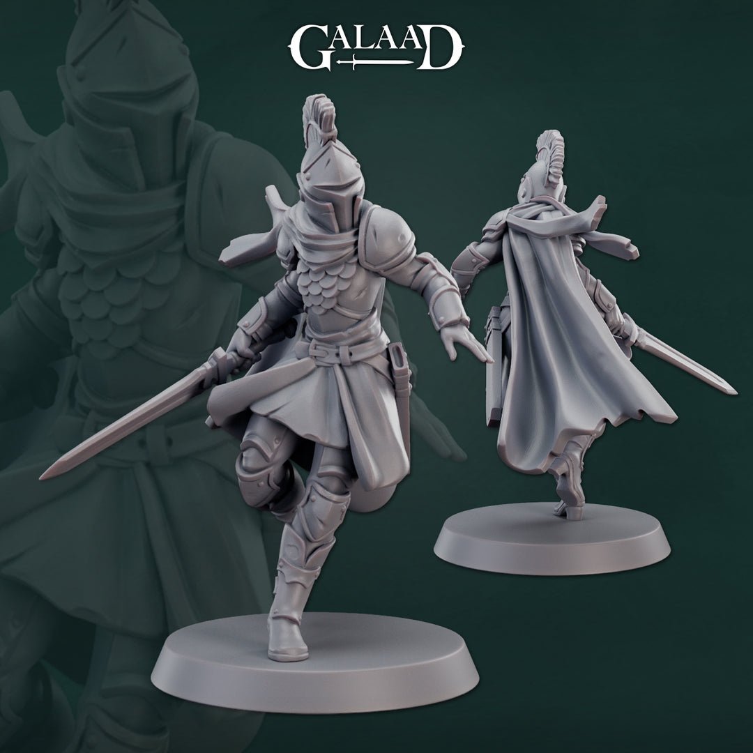 Warriors Bundle
