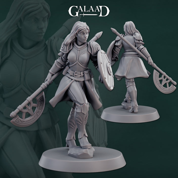 Warriors Bundle