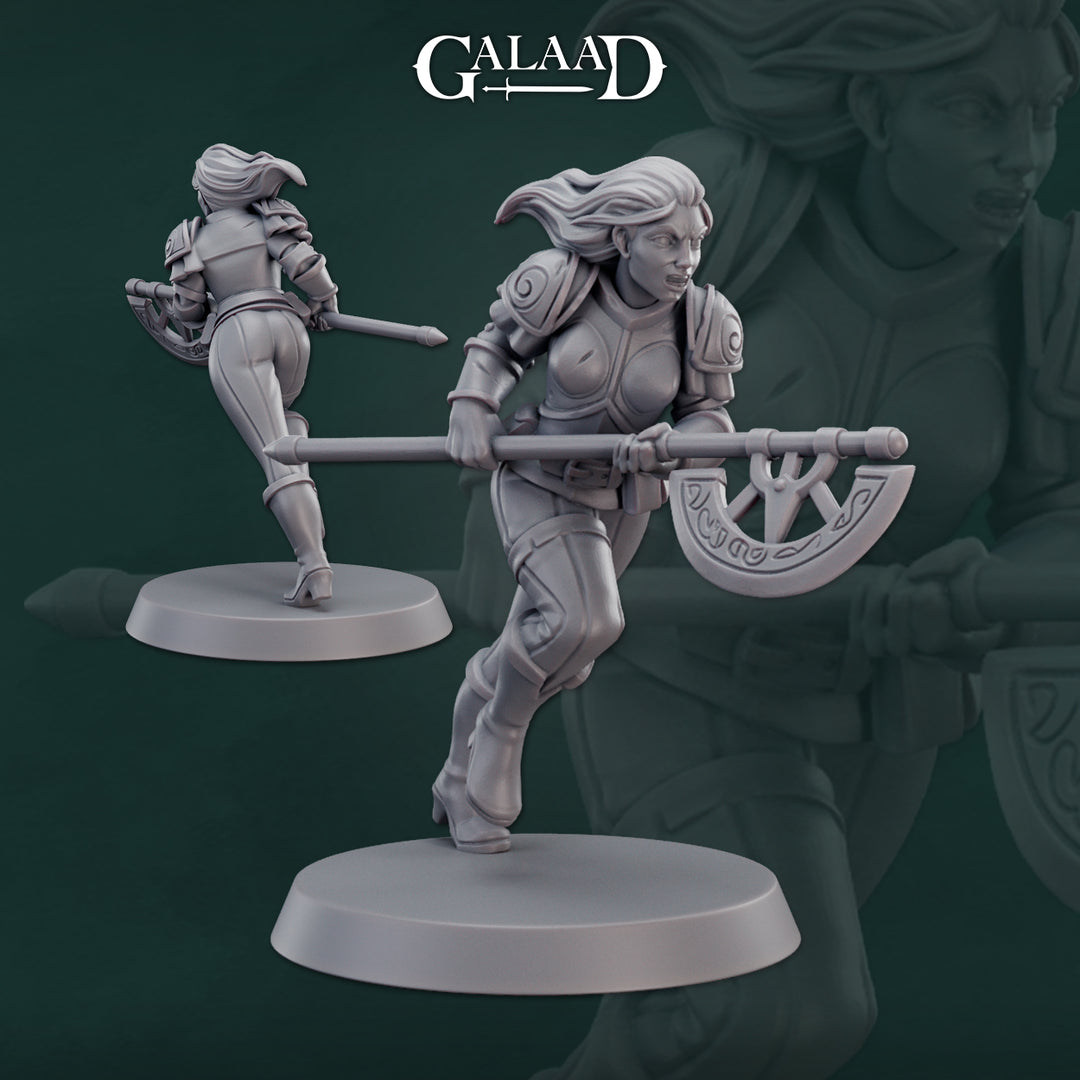 Warriors Bundle
