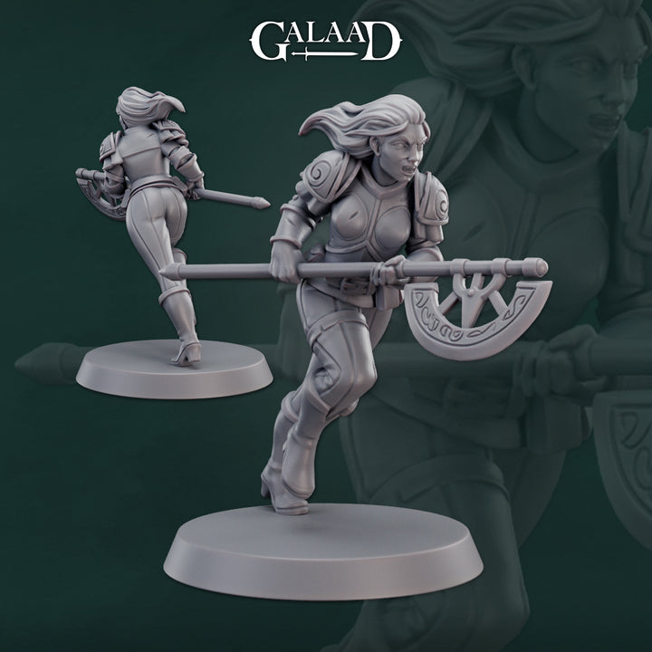 Warriors Bundle