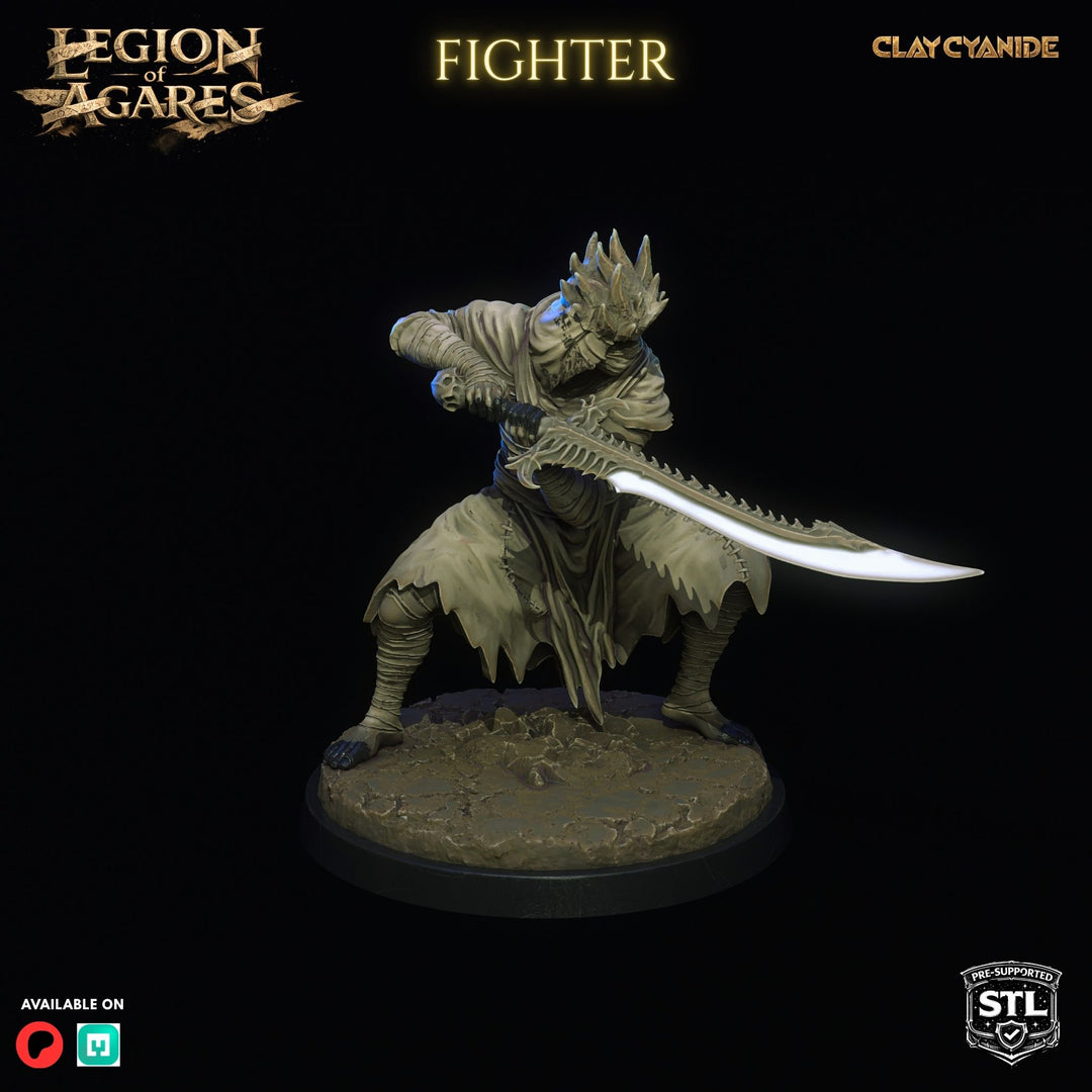Mummified Fighters