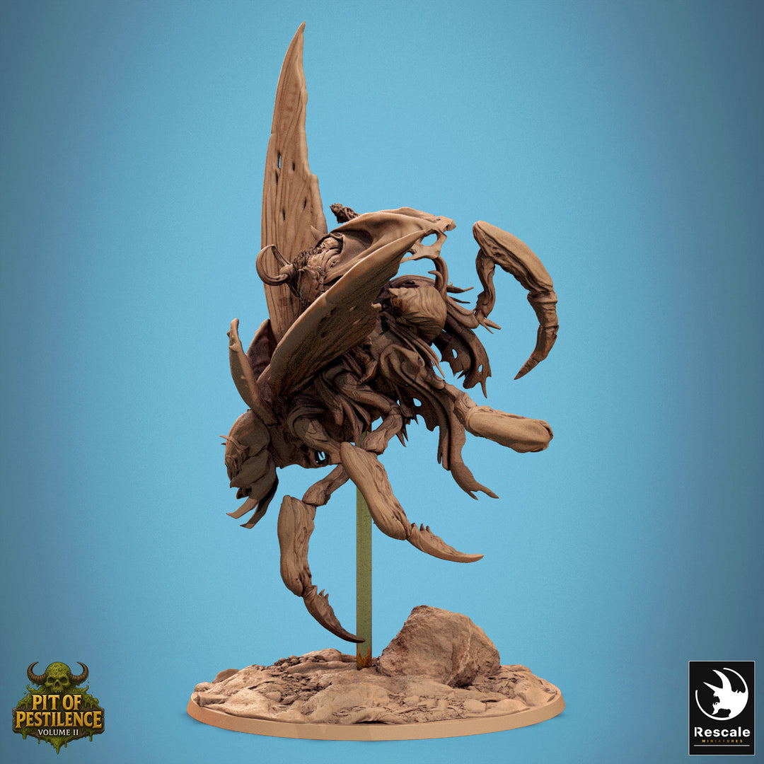 Scarab Host Flying