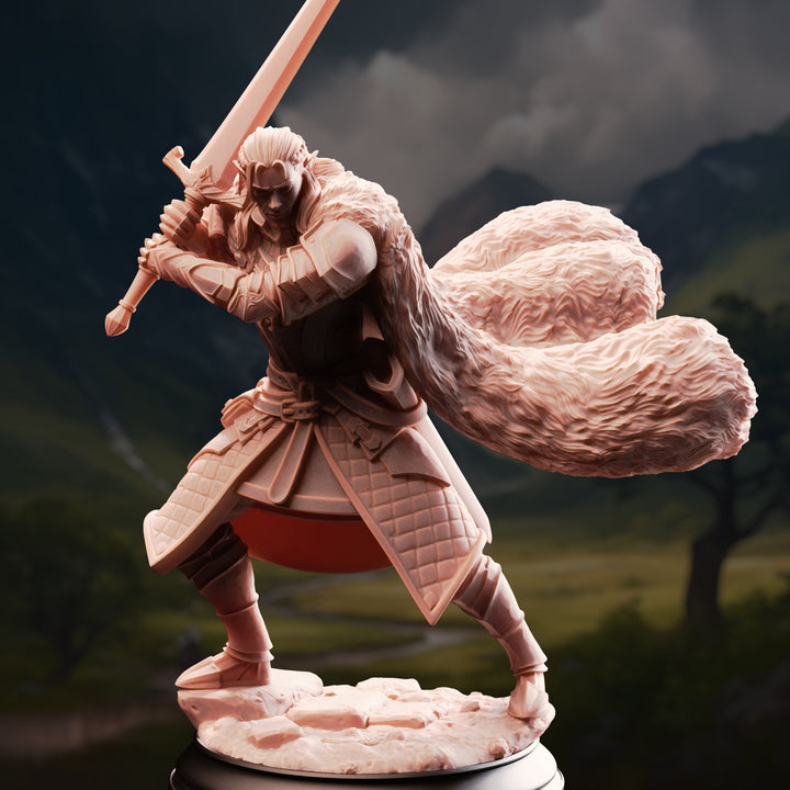 Elf Fighter - Harias of the Borderlands