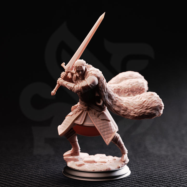 Elf Fighter - Harias of the Borderlands