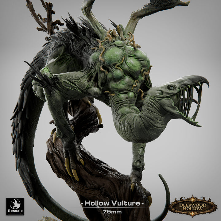 Hollow Vulture